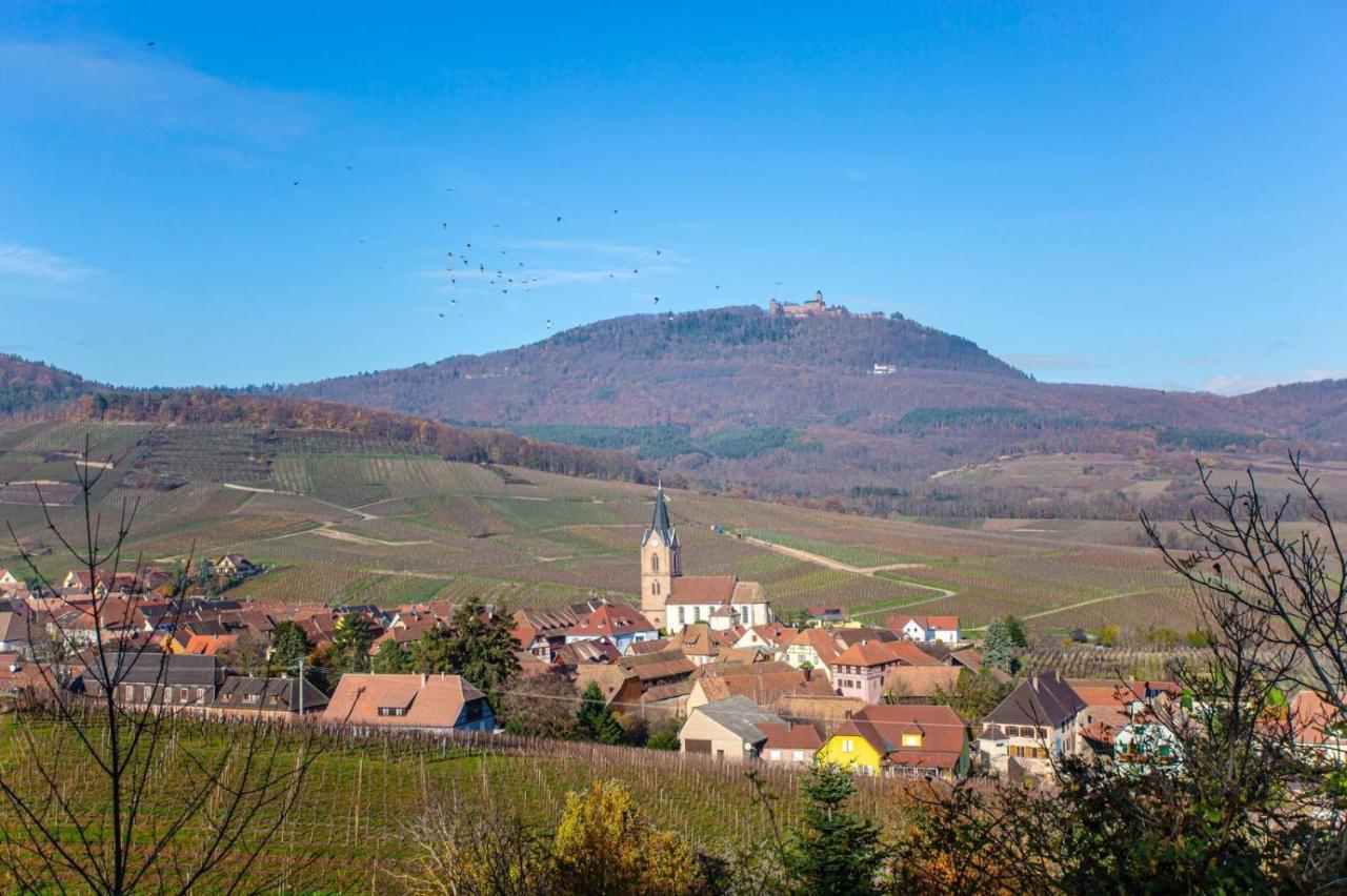 Gite La Rodernelle - Sauna Privatif - Climatisation - Vue Sur Le Chateau Du Haut Koenigsbourg エクステリア 写真
